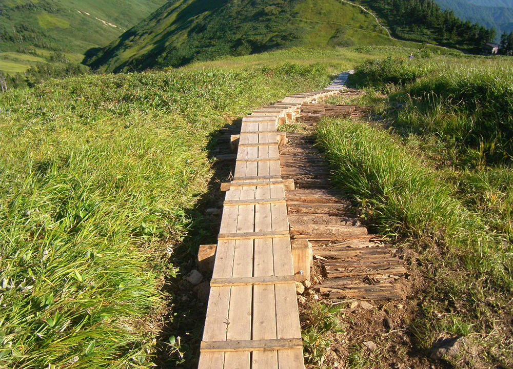 巻機山木道工のイメージ画像 巻機山木道工のイメージ画像